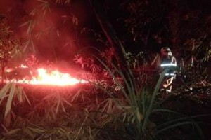Penampakan kebun yang terbakar di Pancalang.